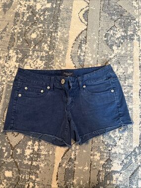 American Eagle Outfitters Navy Blue Frayed Hem Shorts